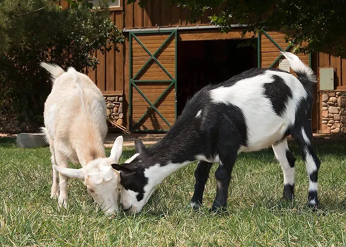 Sorrel River Ranch Resort & Spa